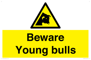 Beware Young bulls